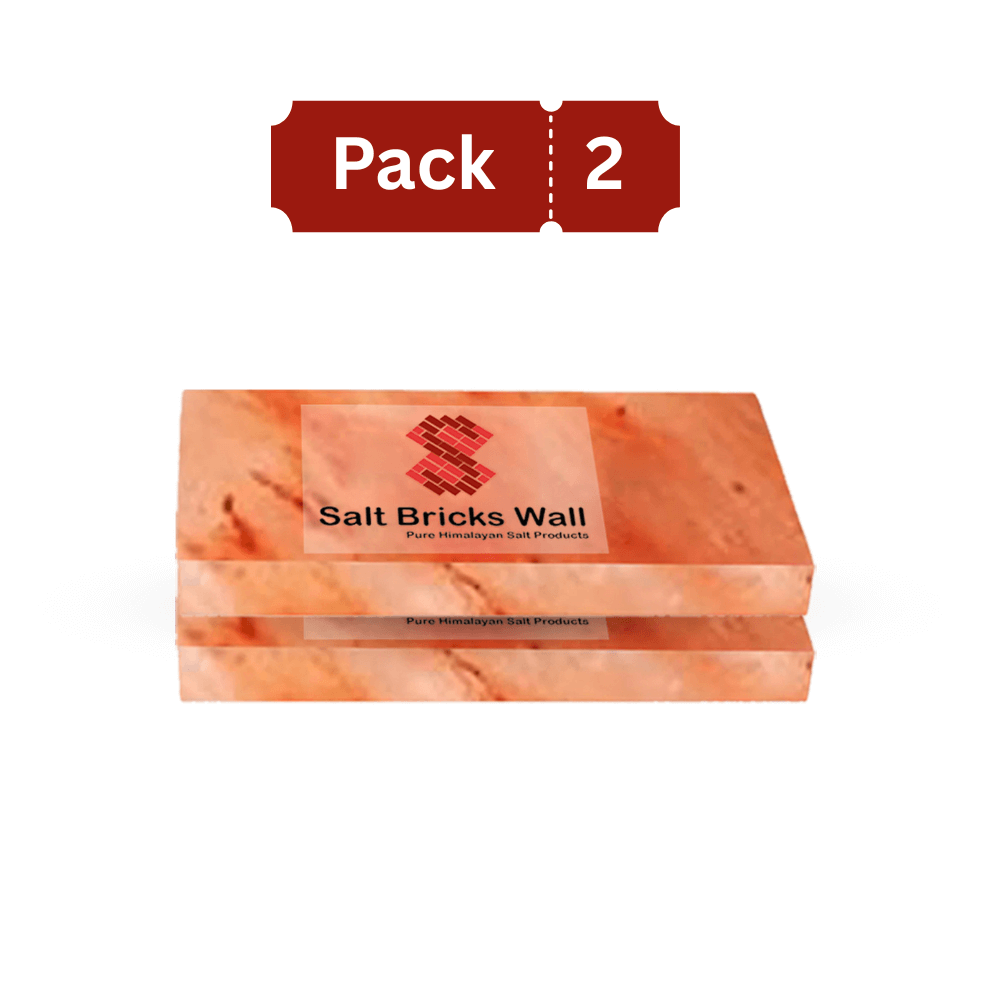 Foot Detox Bricks – Natural Relaxation & Wellness Therapy Stones (Set of 2) 8x4x0.75 - Free Shipping