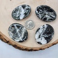 Black Zebra Marble - Worry Stone