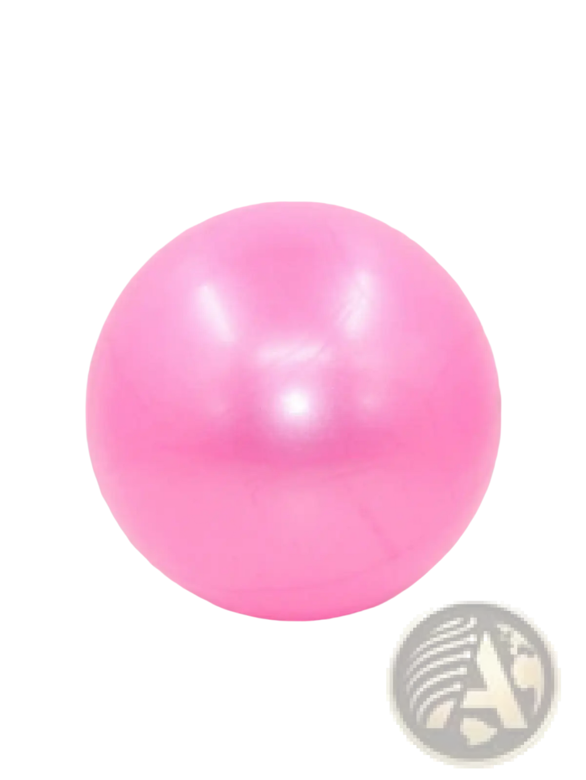 25cm Pink Fitness Yoga Ball Core Exercise