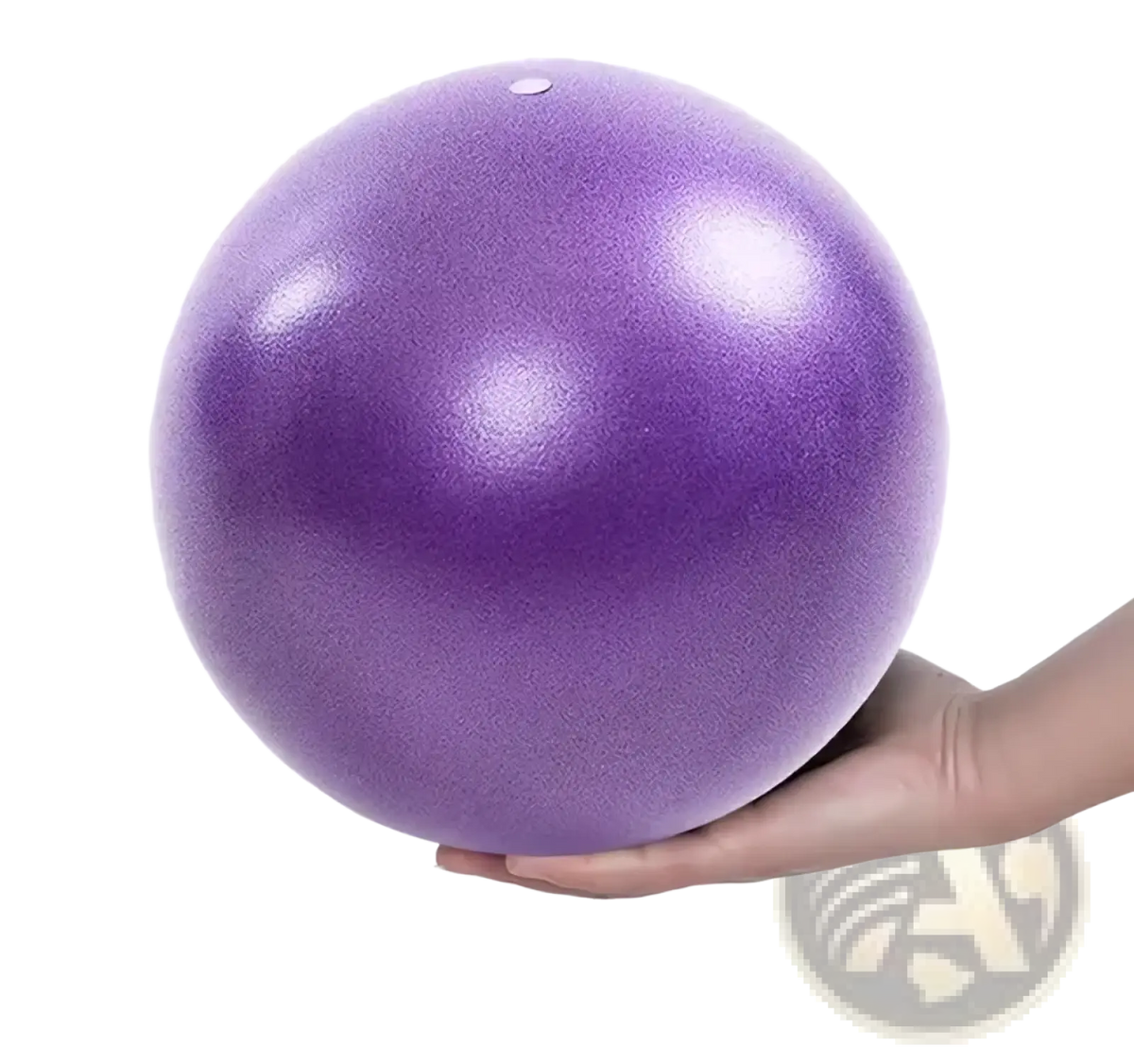 25cm Pink Fitness Yoga Ball Core Exercise