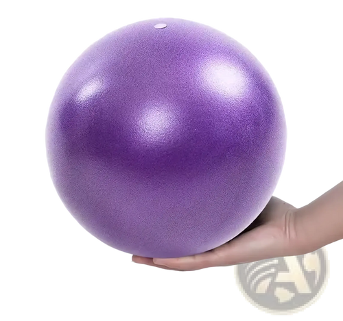 25cm Pink Fitness Yoga Ball Core Exercise