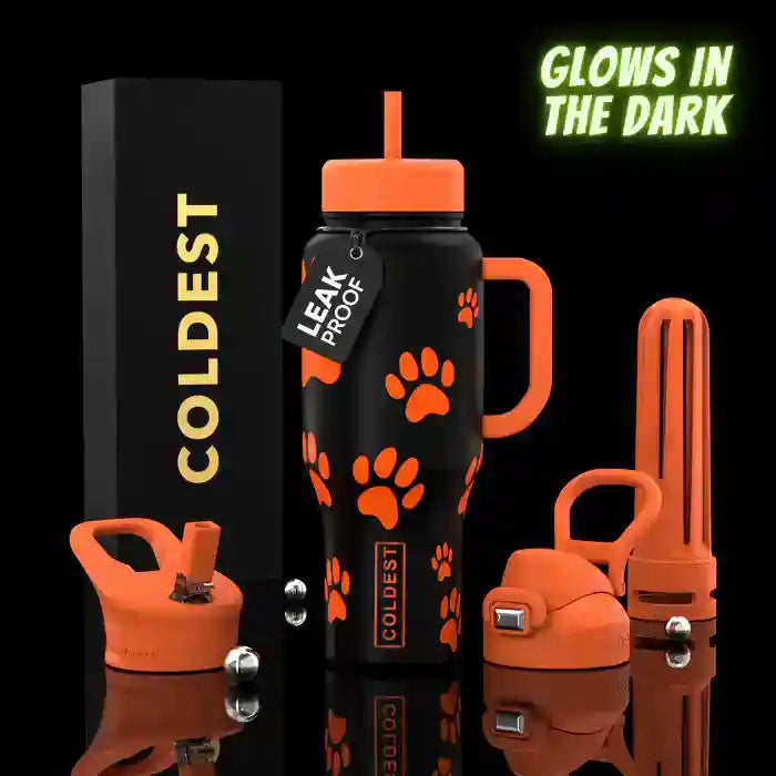 COLDEST 36oz Limitless Ultra V8 Hydration Bottle