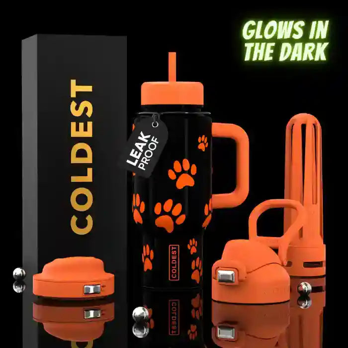 COLDEST 24oz Limitless Ultra v8 Bottle