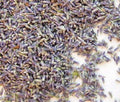 English Culinary Lavender Sachet Bags Food Grade Edible Cooking