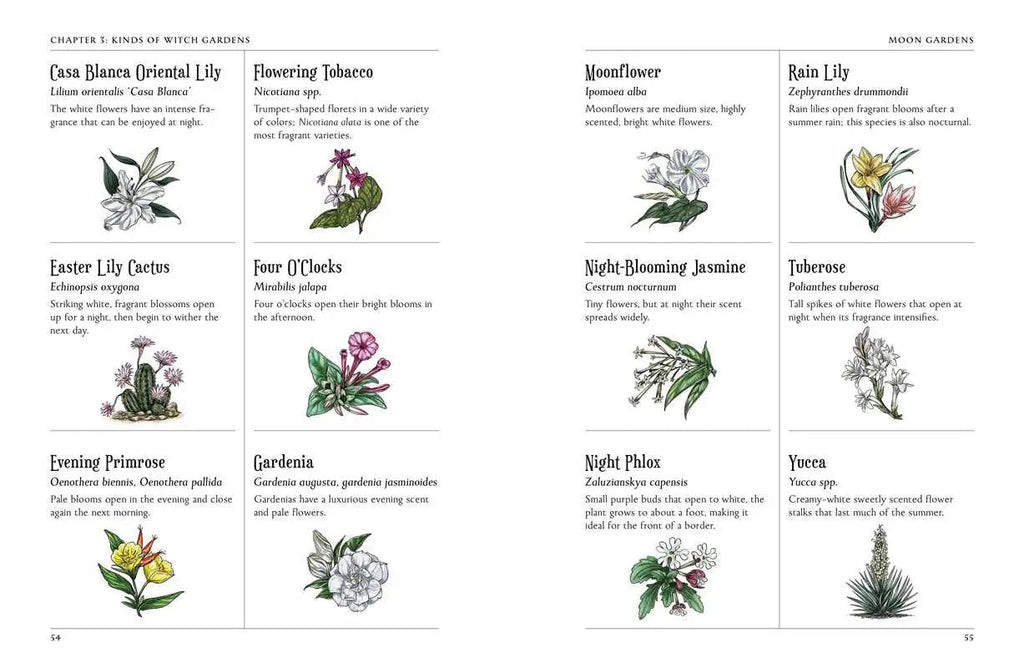 Green Witch's Garden Guide