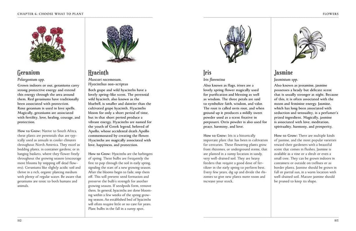 Green Witch's Garden Guide