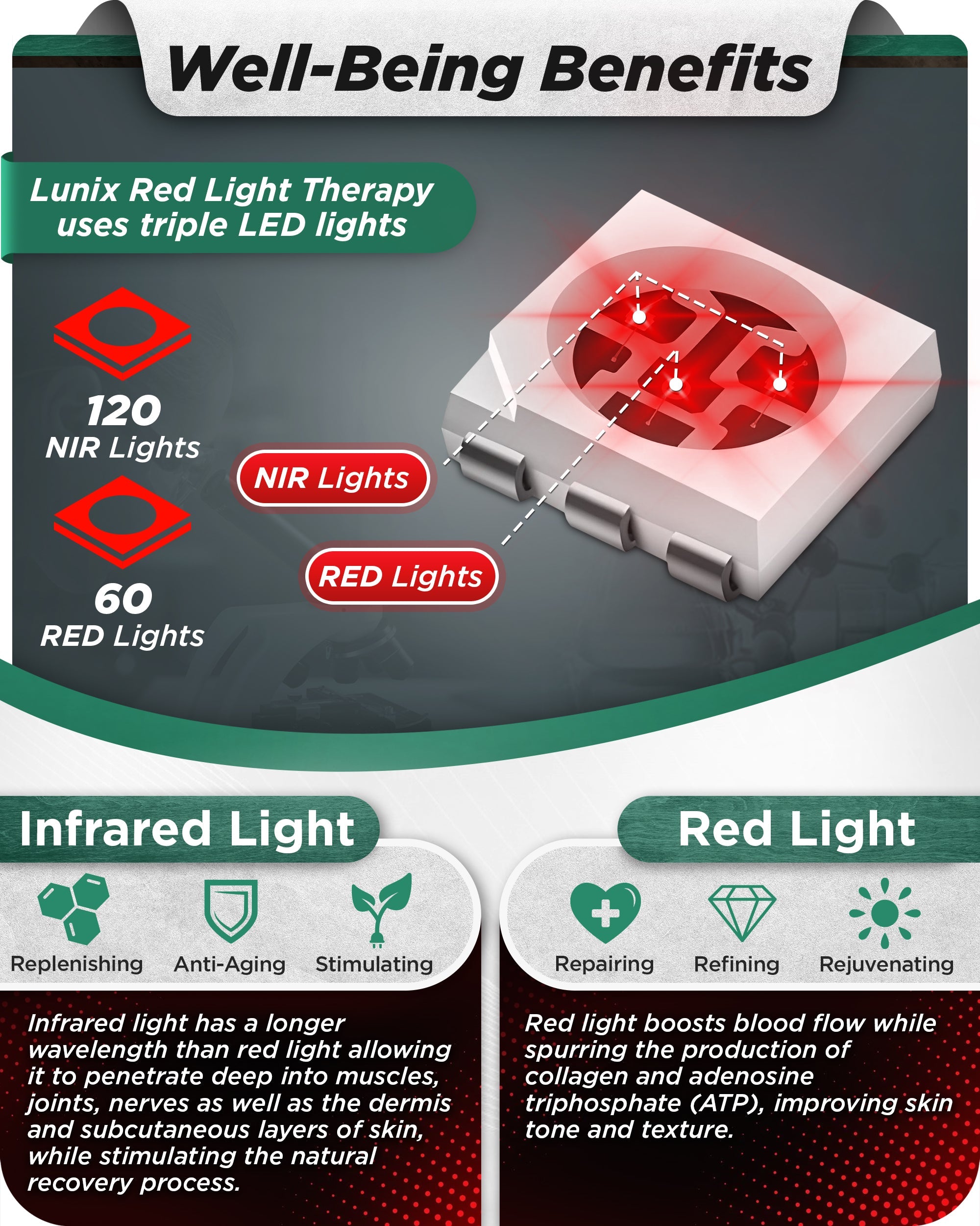 LX19 Red Light Therapy for Knee, Elbow and Shoulder, Charcoal Black