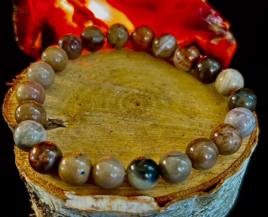 Reiki-Infused Natural Petrified Wood Bracelet for Deep Grounding, Wisdom & Ancient Stability (8mm)
