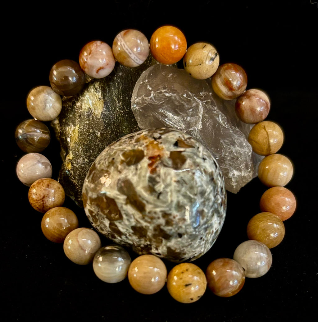 Reiki-Infused Natural Petrified Wood Bracelet for Deep Grounding, Wisdom & Ancient Stability (8mm)