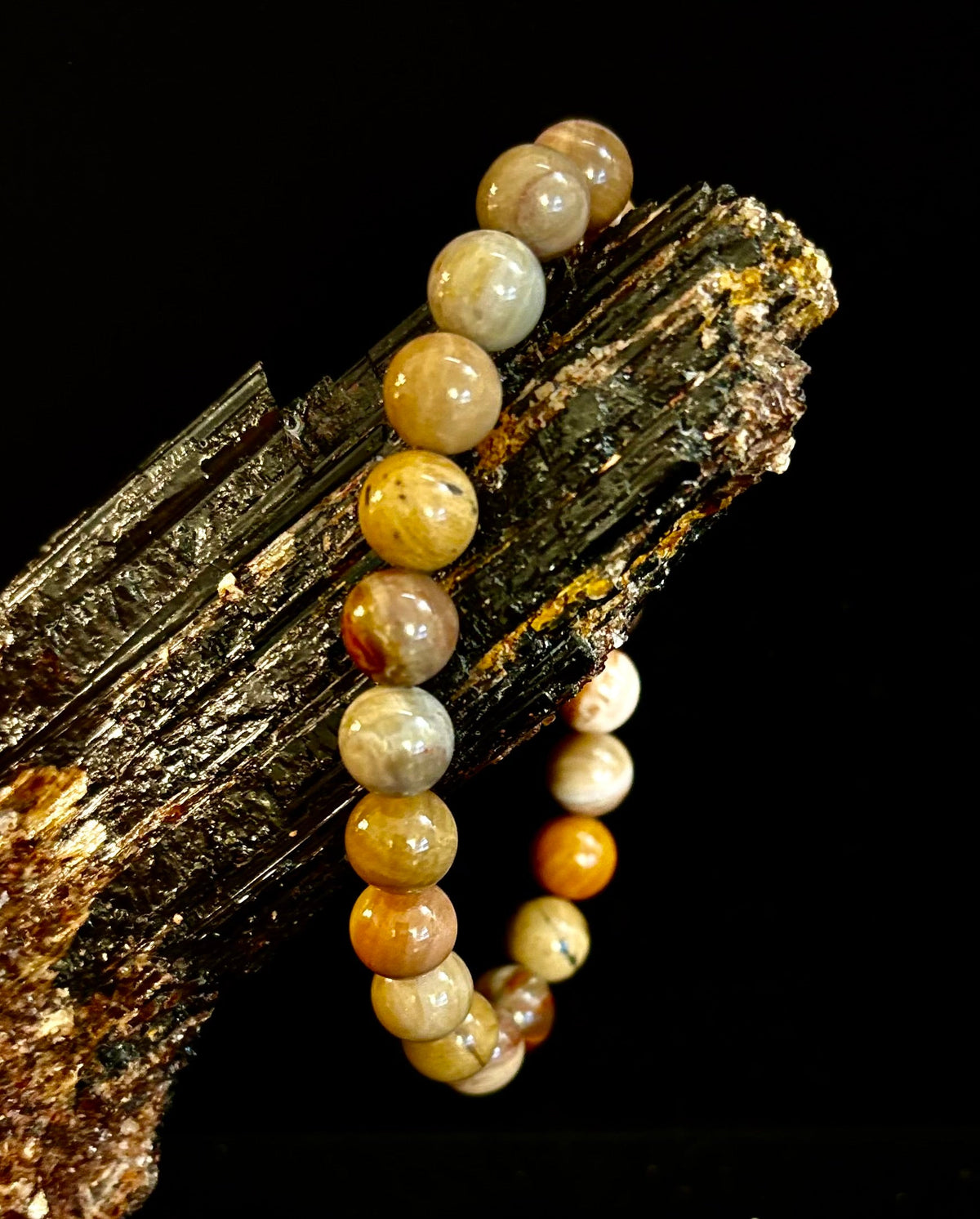 Reiki-Infused Natural Petrified Wood Bracelet for Deep Grounding, Wisdom & Ancient Stability (8mm)
