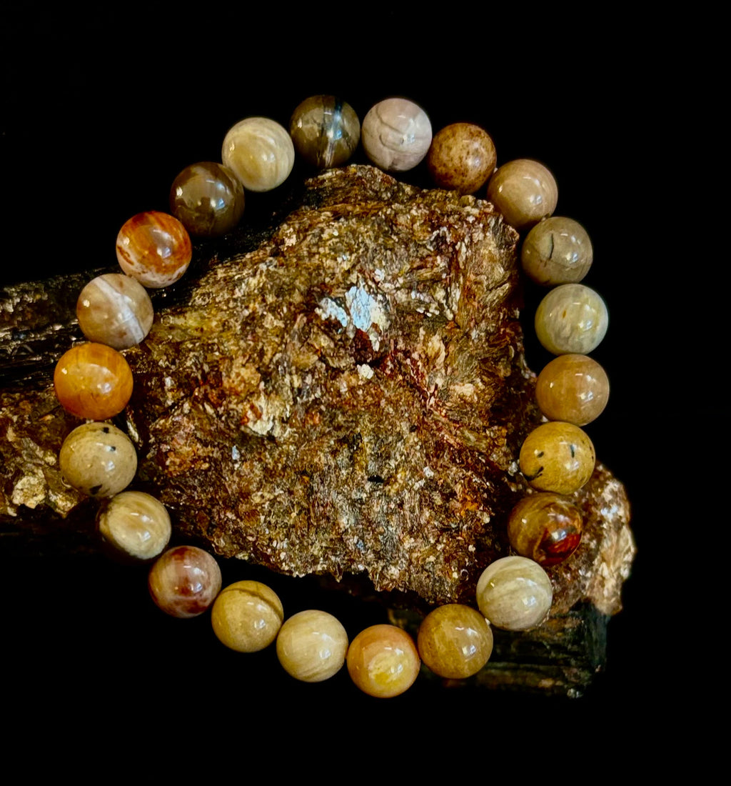 Reiki-Infused Natural Petrified Wood Bracelet for Deep Grounding, Wisdom & Ancient Stability (8mm)
