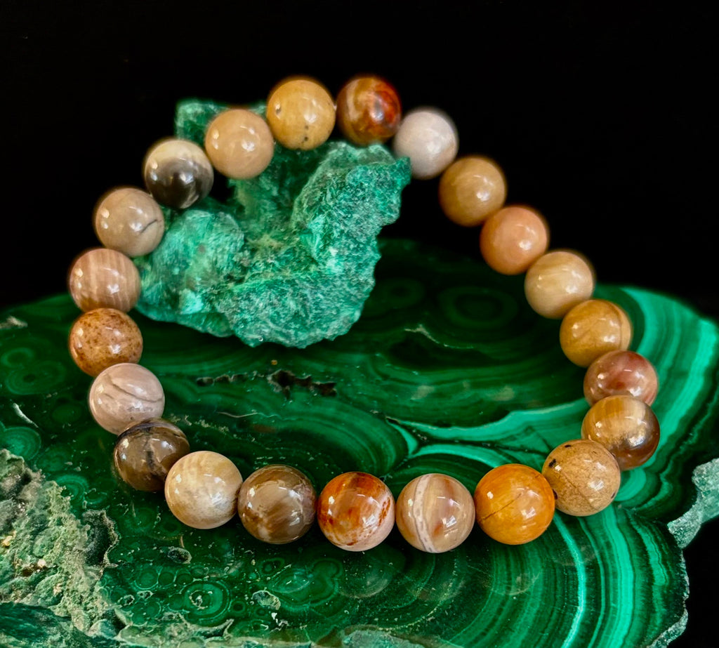 Reiki-Infused Natural Petrified Wood Bracelet for Deep Grounding, Wisdom & Ancient Stability (8mm)