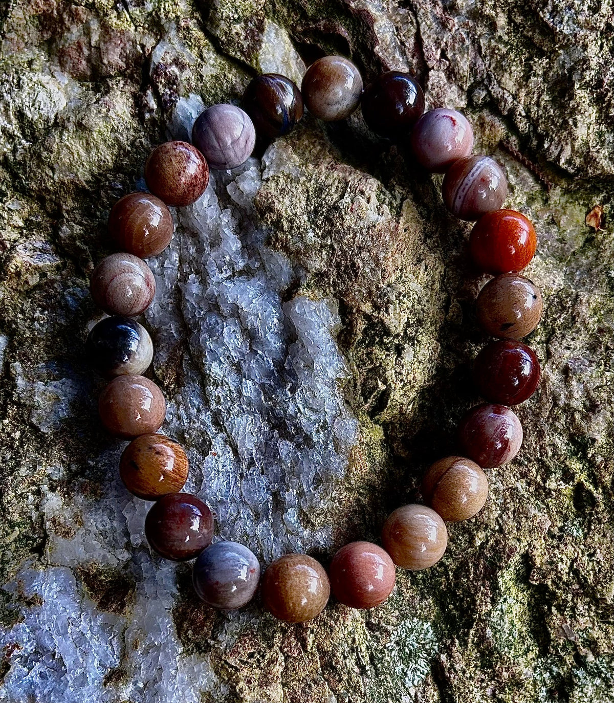 Reiki-Infused Natural Petrified Wood Bracelet for Deep Grounding, Wisdom & Ancient Stability (8mm)