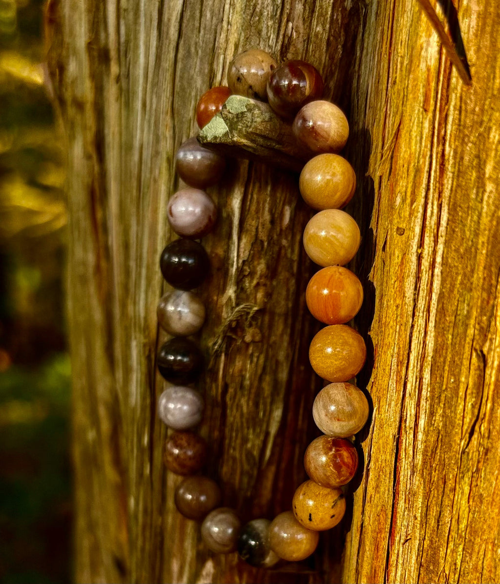 Reiki-Infused Natural Petrified Wood Bracelet for Deep Grounding, Wisdom & Ancient Stability (8mm)