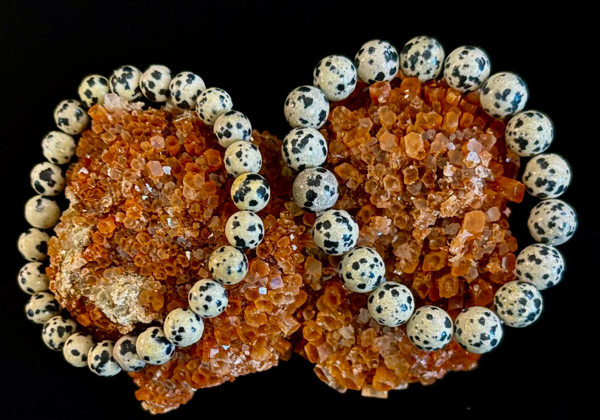 Reiki-Infused Natural Dalmatian Jasper Bracelet for Grounding, Inner Child Joy & Overthinking Relief (8mm, 10mm & 12mm)