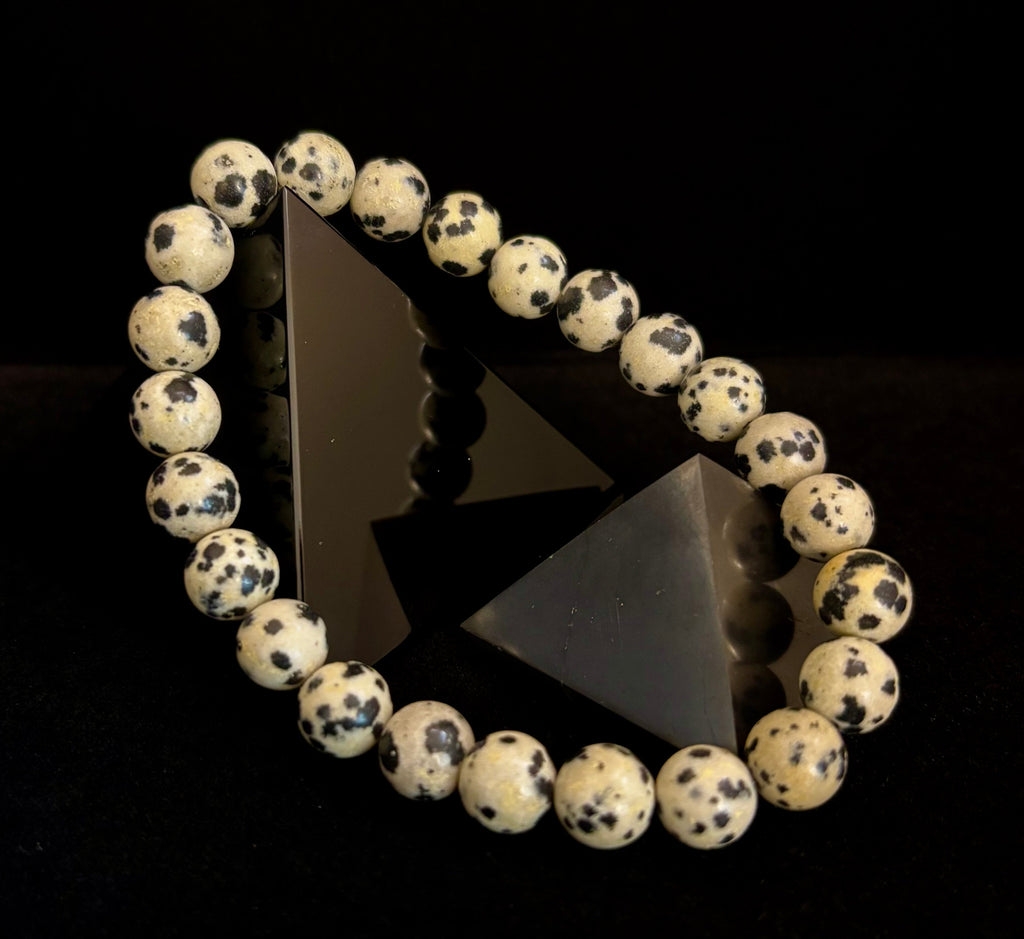 Reiki-Infused Natural Dalmatian Jasper Bracelet for Grounding, Inner Child Joy & Overthinking Relief (8mm, 10mm & 12mm)