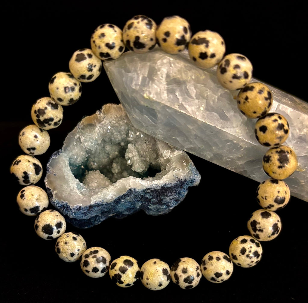 Reiki-Infused Natural Dalmatian Jasper Bracelet for Grounding, Inner Child Joy & Overthinking Relief (8mm, 10mm & 12mm)