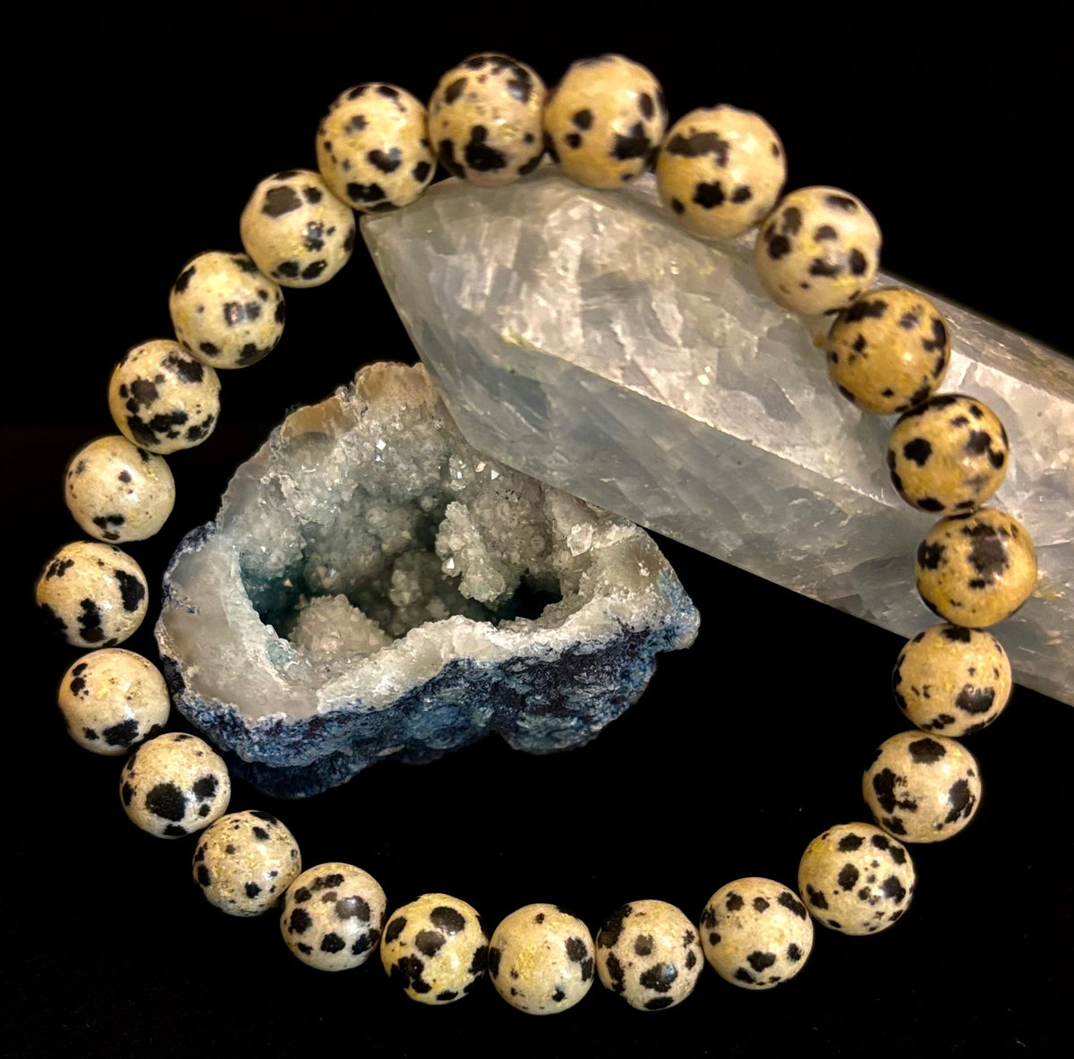 Reiki-Infused Natural Dalmatian Jasper Bracelet for Grounding, Inner Child Joy & Overthinking Relief (8mm, 10mm & 12mm)