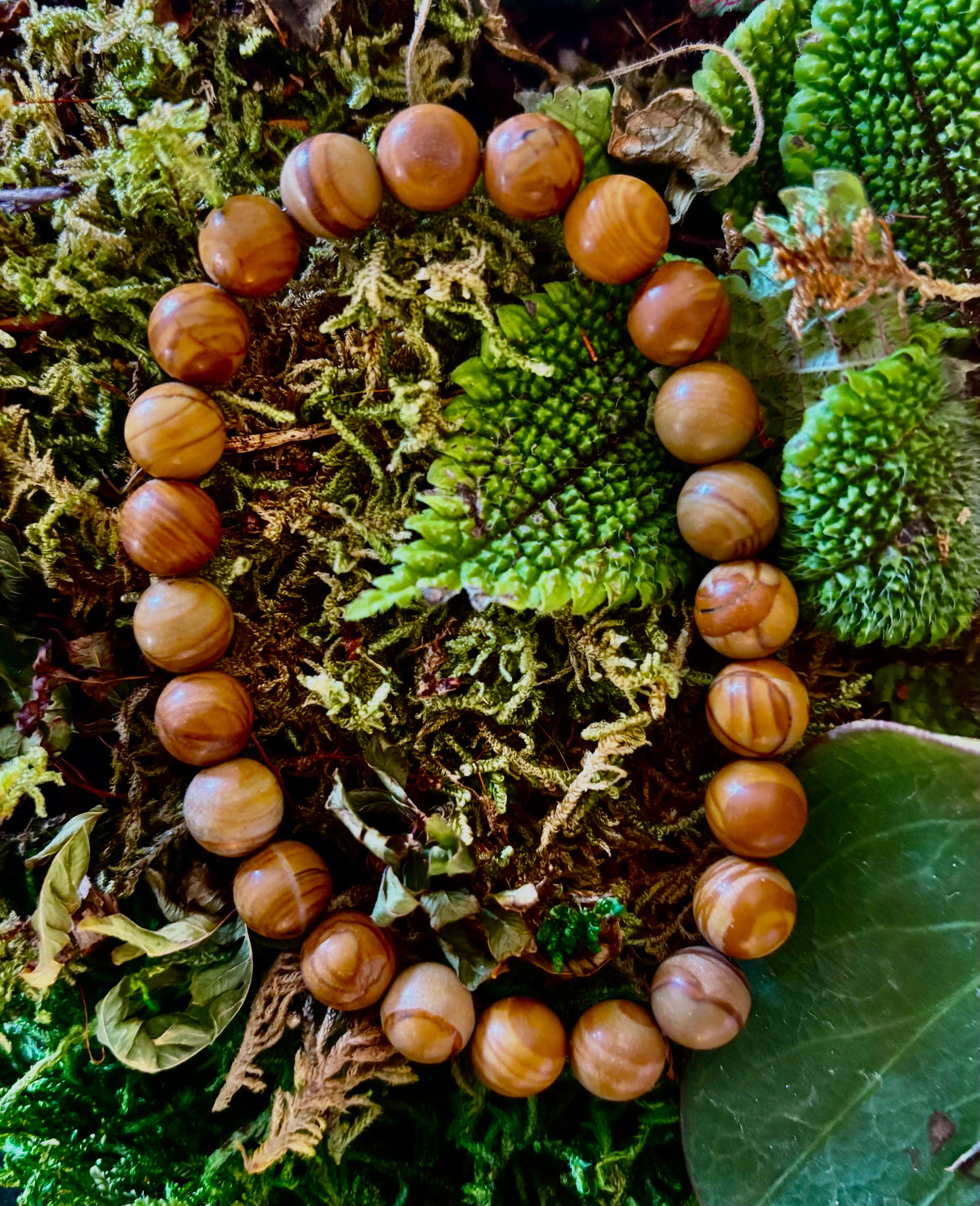 Wood Lace Agate 8mm Reiki-Infused Grounding & Manifestation Bracelet (Medium-Large Wrists)