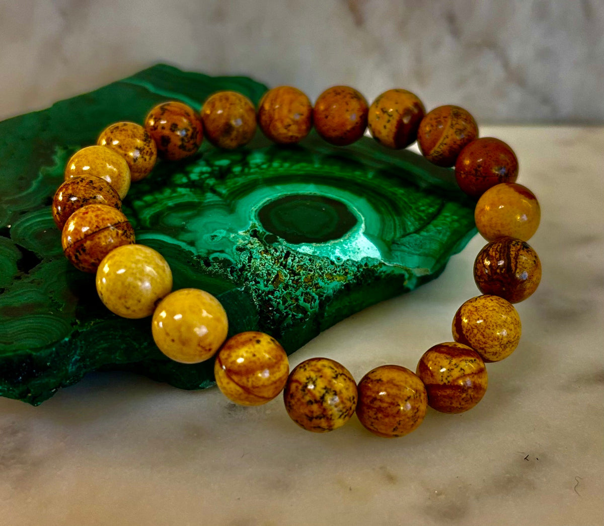 Earth Journey Picture Jasper Bracelet – Reiki-Infused 10mm (Medium–Large Wrists)