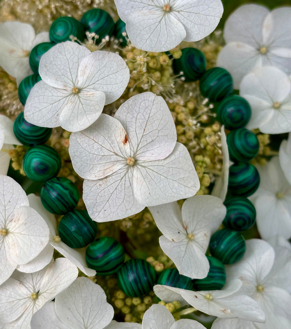 Reiki-Infused Natural Malachite Bracelet for Deep Transformation, Aura Protection & Emotional Healing (8mm & 10mm)