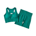 Women’s High-Waist Seamless Workout Set