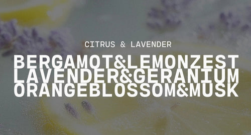 5.5 oz Wax Melts: Citrus Lavender