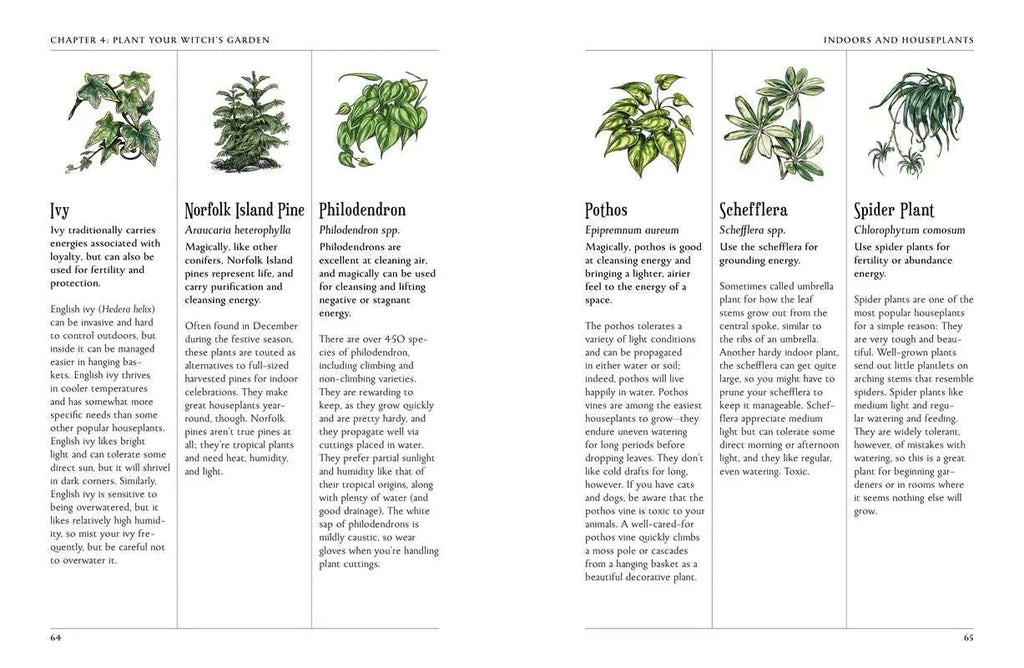 Green Witch's Garden Guide