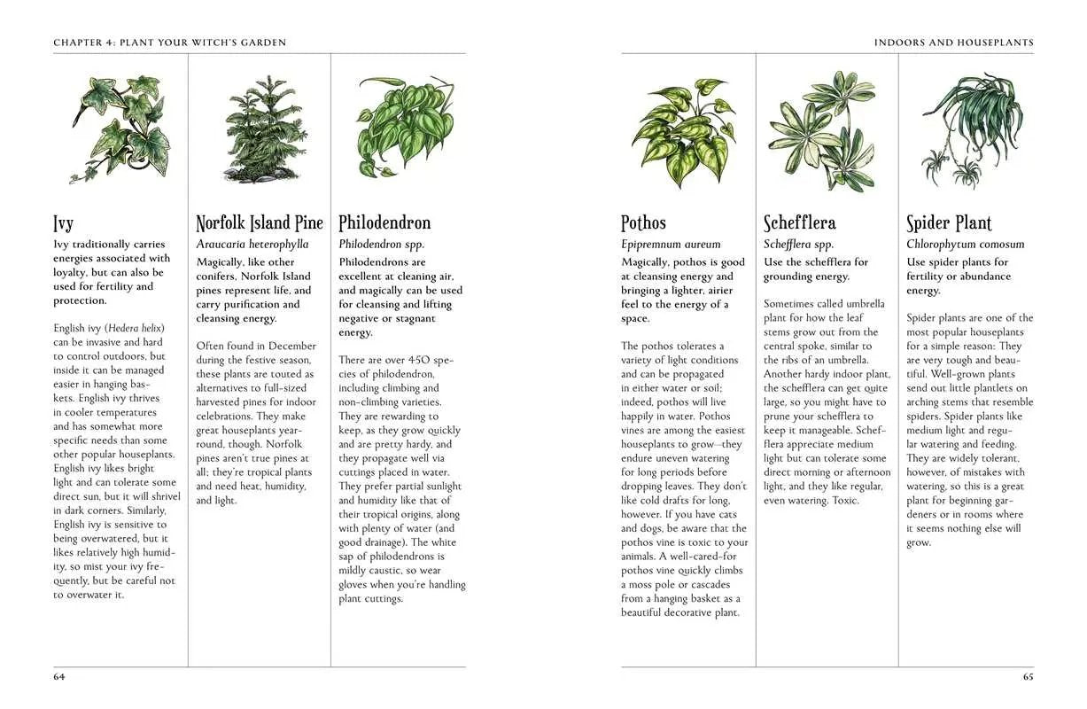 Green Witch's Garden Guide