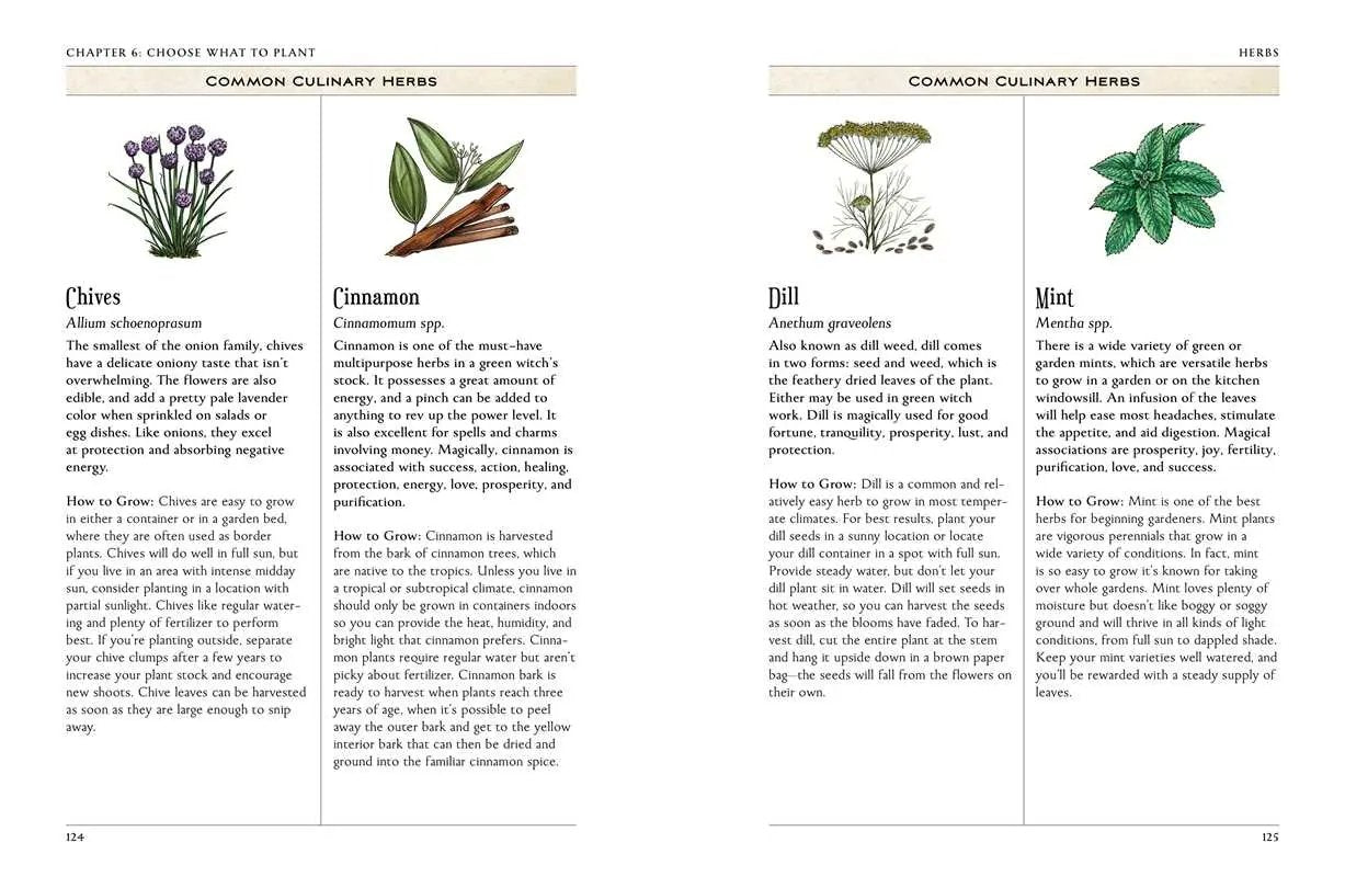 Green Witch's Garden Guide