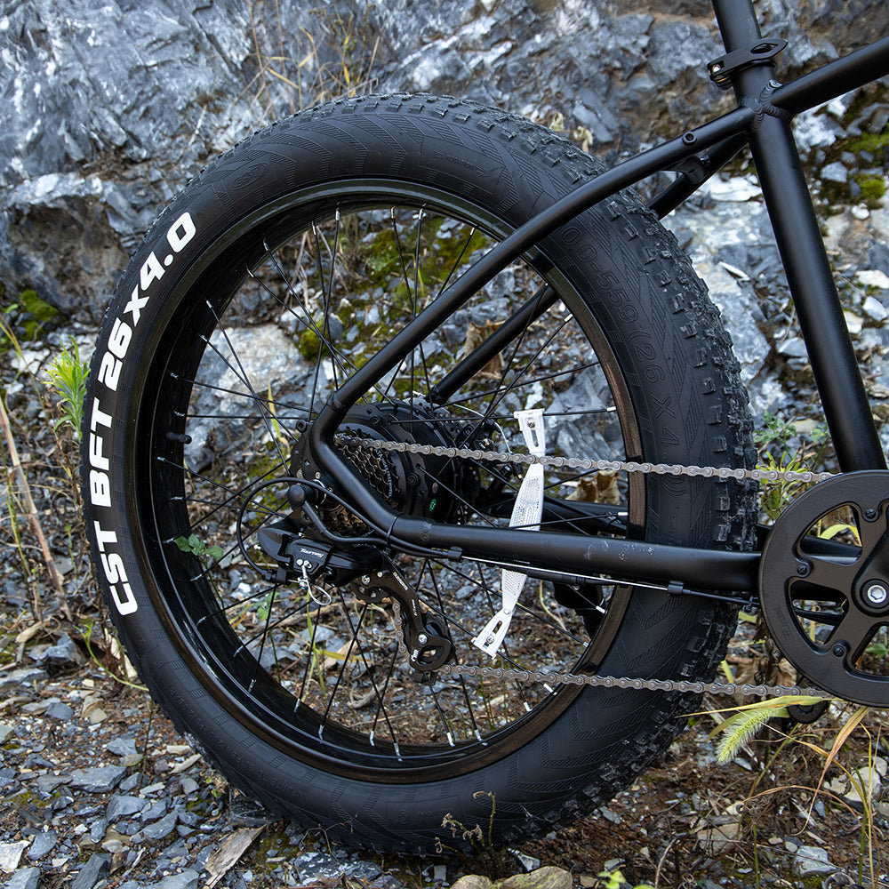 Professional Electric Bike for Adults, 26 X 4.0 Inches Fat Tire Electric Mountain Bicycle, 1000W Motor 48V 15Ah Eike for Trail Riding, Excursion and Commute, UL And GCC Certified