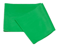 Workoutz Physical Therapy Resistance Bands (4 Feet Length)