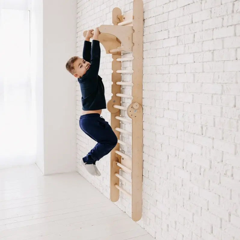 Gym Addition to the Climbing Ladders - Children
