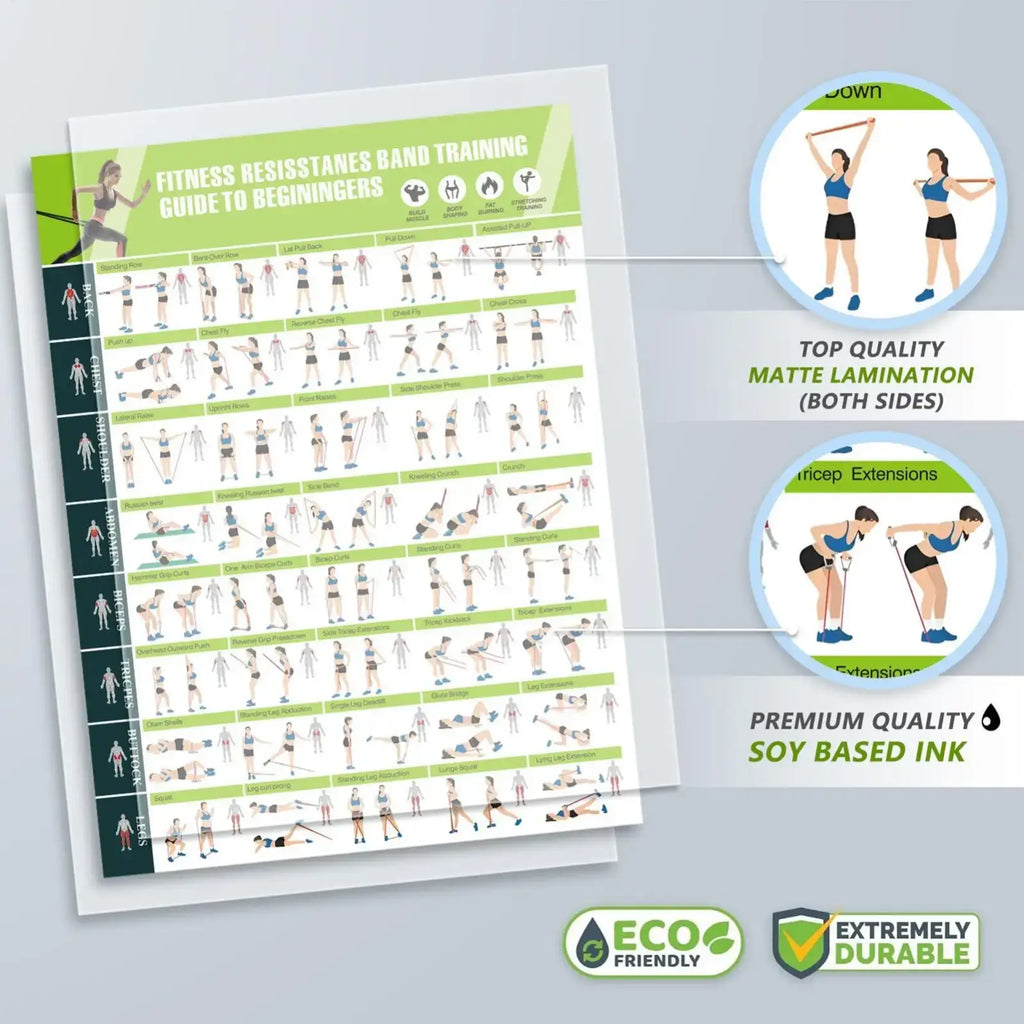 Resistance Band Workout Poster Fitness Training Guide