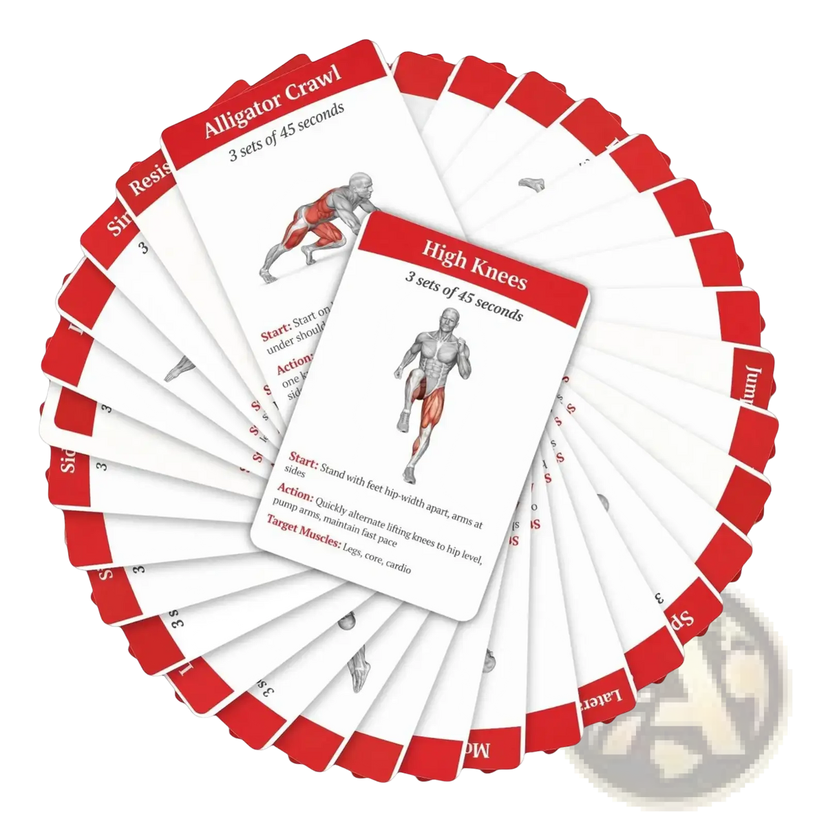 Workout Cards Fitness Exercise Deck for Home and Gym